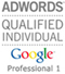 Qualificação Google